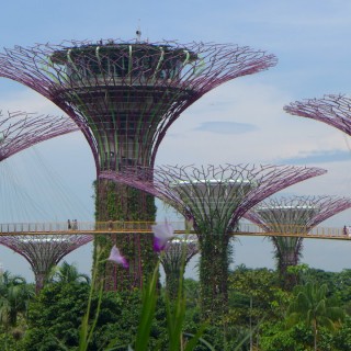 Singapur - jeden z ogrodów