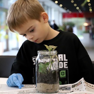 „Ogród w słoiku” - warsztaty - Chłopiec siedzi przy stole i patrzy na stojącą przed nim roślinę posadzoną w słoiku. - fot. Michał Żurowski